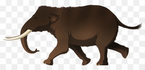 Cyprus U2013 Nix Illustration - Animal Figure png