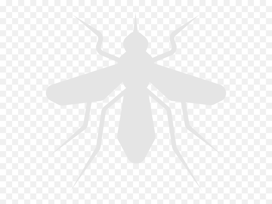 Flying Insects Everyday Pest Control Png Fly Repellent Icon