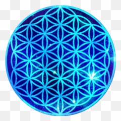Life - Golden Flower Of Life Logo Png,Flower Of Life Png