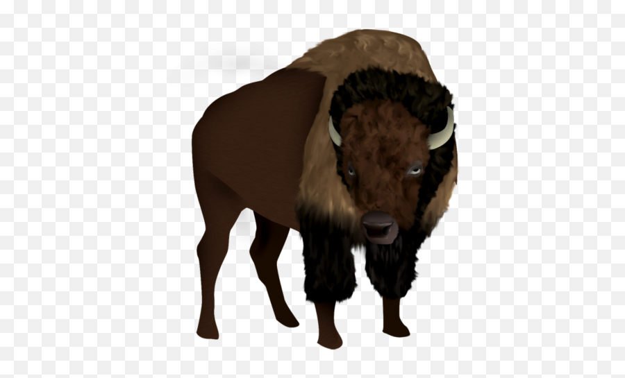 Vector Png Hd 5 Transparent Background - Bison Pbg,Bison Png