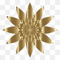 Library Of Gold Sun Burst Png Free Download Files - Transparent Gold Background Flower Png,Sunburst Png