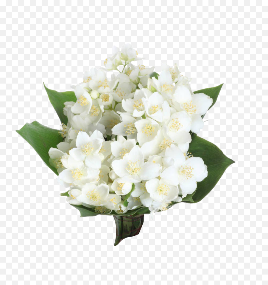 Jasmine Flower Png Transparent Free For - Jasmine Flower Bouquet,White Flowers Png