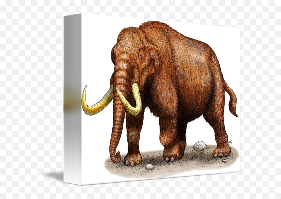 Mastodon By Roger Hall - Indian Elephant Png,Mastodon Png