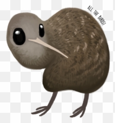 Download Hd Great Spotted Kiwi Apteryx Haastii - Kiwi Bird Limpkin Png,Kiwi Bird Png