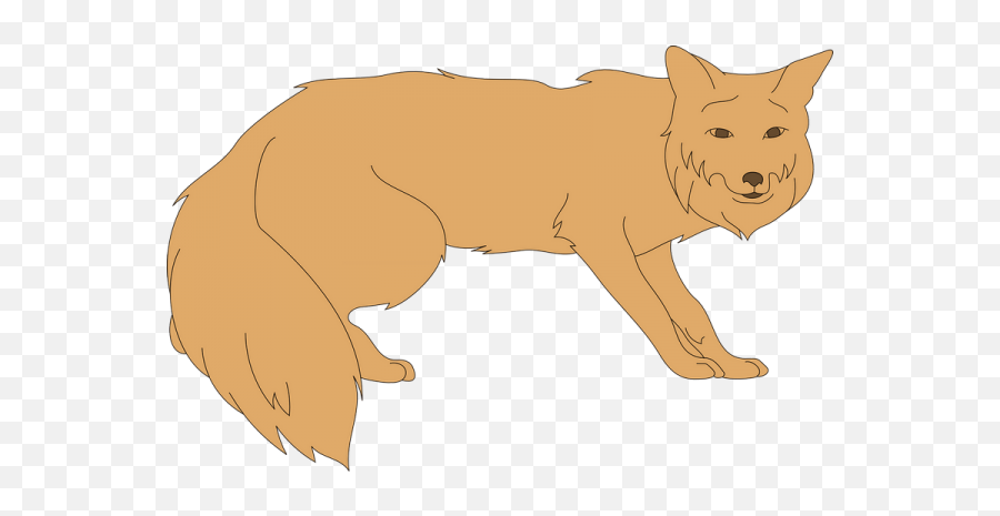 Fox Animal Tail Fur Transparent Png Images Clipart Vectors - Puma,Fox Tail Png