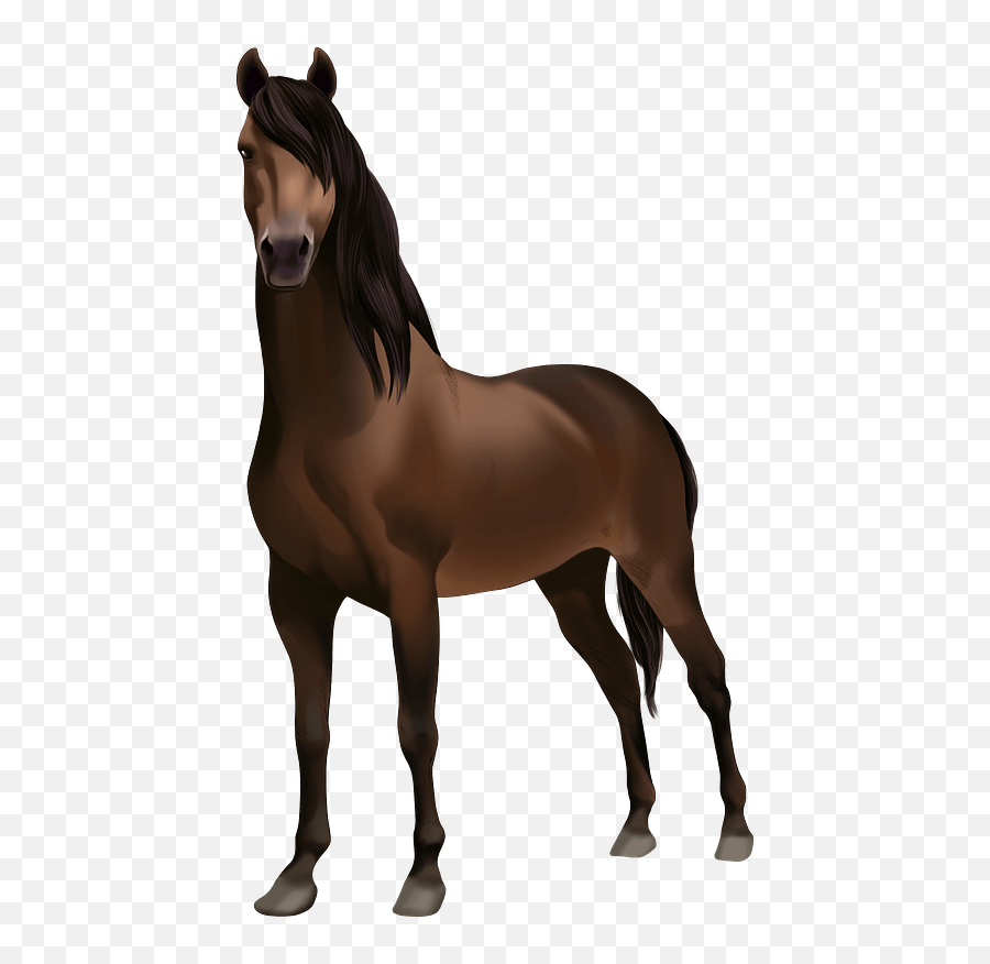 Clipart - Morgan Horse Clip Art Png,Horse Transparent Png