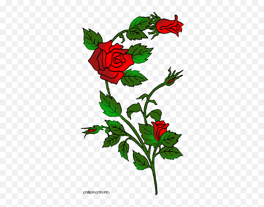 Free Rose Bush Png Download Clip Art - Flower Rose Embroidery Designs,Rose Bush Png