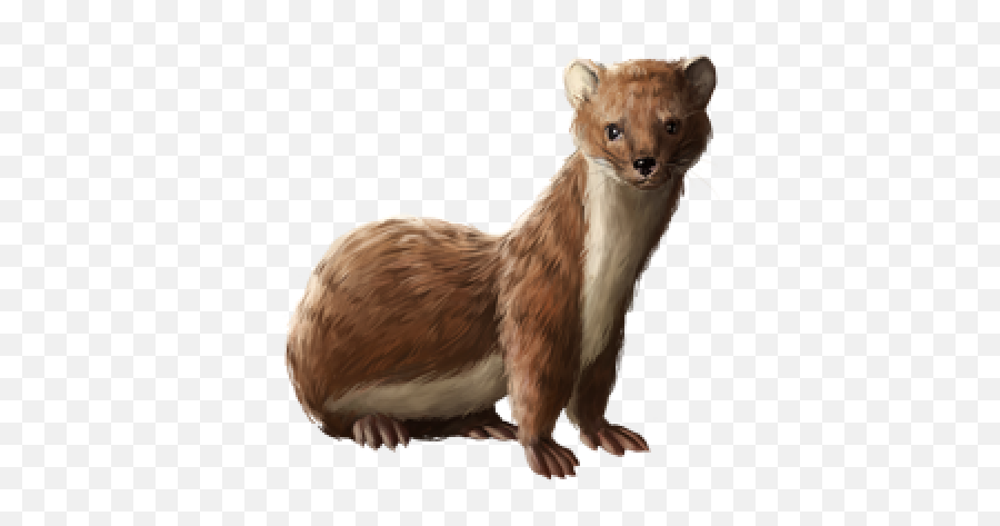 Download Free Png Huge Item Weasel 01 - Weasel Png,Weasel Png