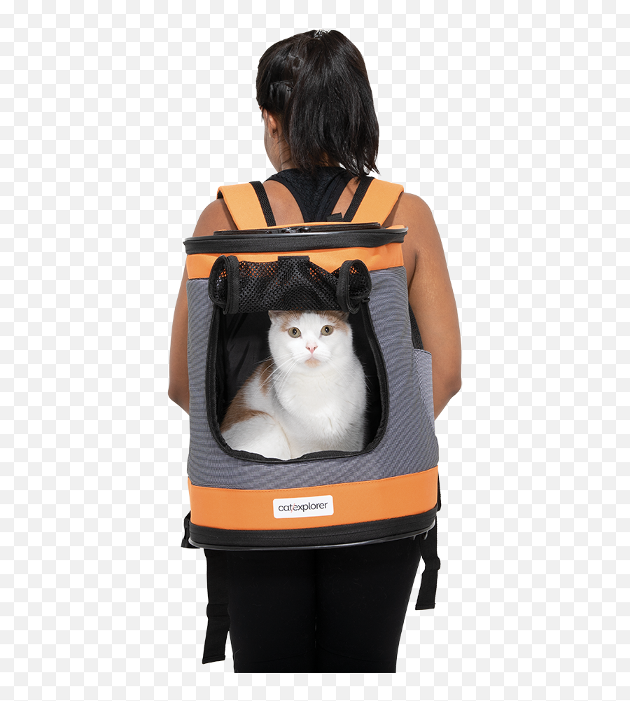 Ranger Cat Backpack U2014 Catexplorer Png Back Pack