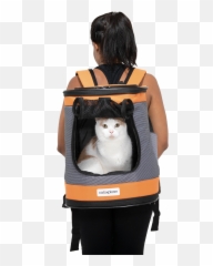 Ranger Cat Backpack U2014 Catexplorer Png Back Pack