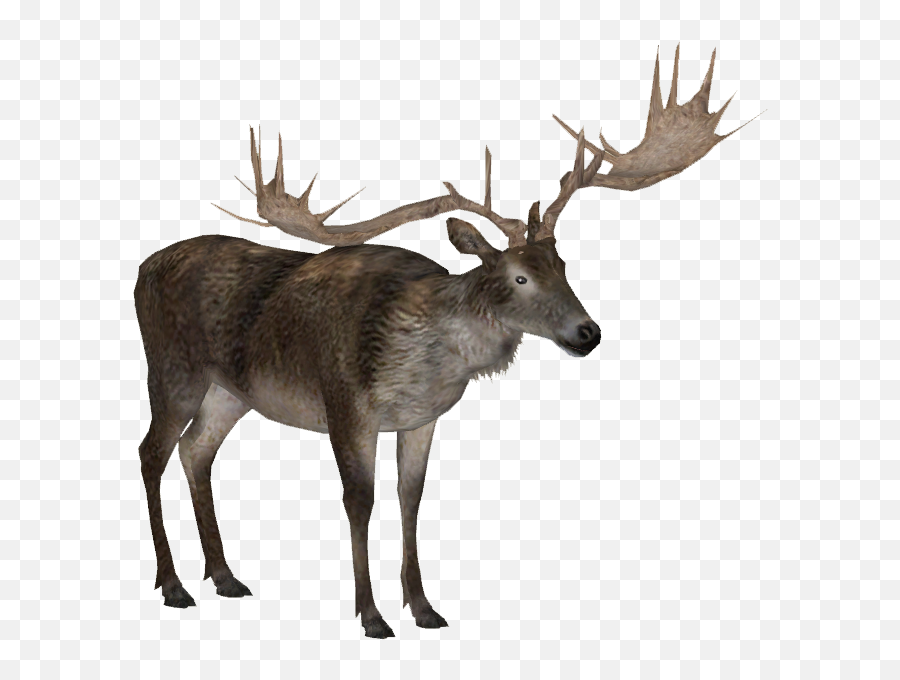 Moose Elk Png - Transparent Irish Elk Png,Elk Png
