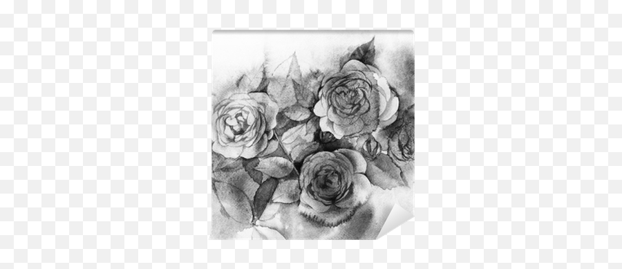 Black And White Watercolor Roses A Bouquet Of Flowers Painting Wall Mural U2022 Pixers - We Live To Change Rose Aquarell Schwarz Weiss Png,Watercolor Roses Png