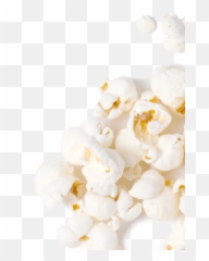Lily Of The Valley Png Image - Lily Of The Valley,Lily Of The Valley Png