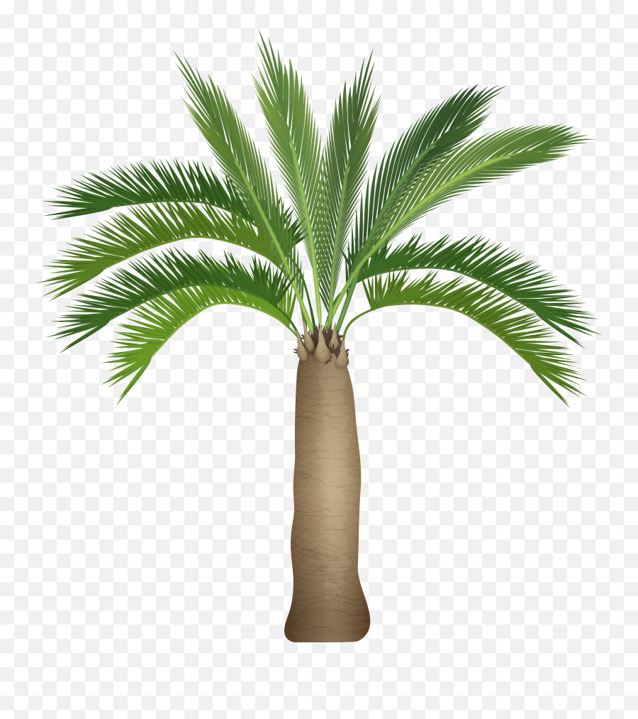 Palm Tree Christmas Transparent U0026 Png Clipart Free Palmtree