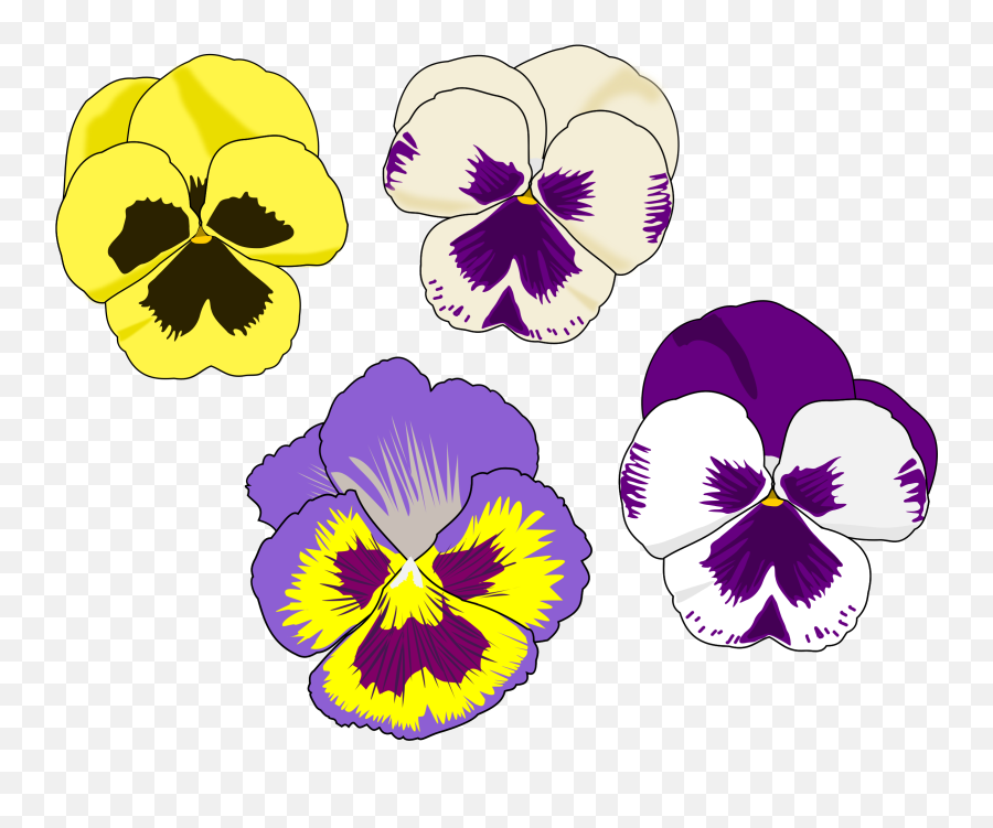 Pansy Selection Flower Drawing Pansies Art Line - Pansy Clipart Png,Flower Line Png