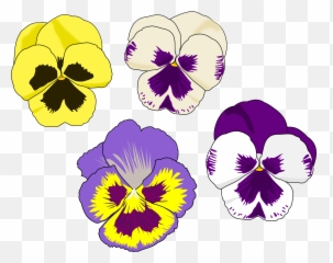 Pansy Selection Flower Drawing Pansies Art Line - Clipart png