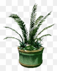 Large Planter - Houseplant Png,Planter Png