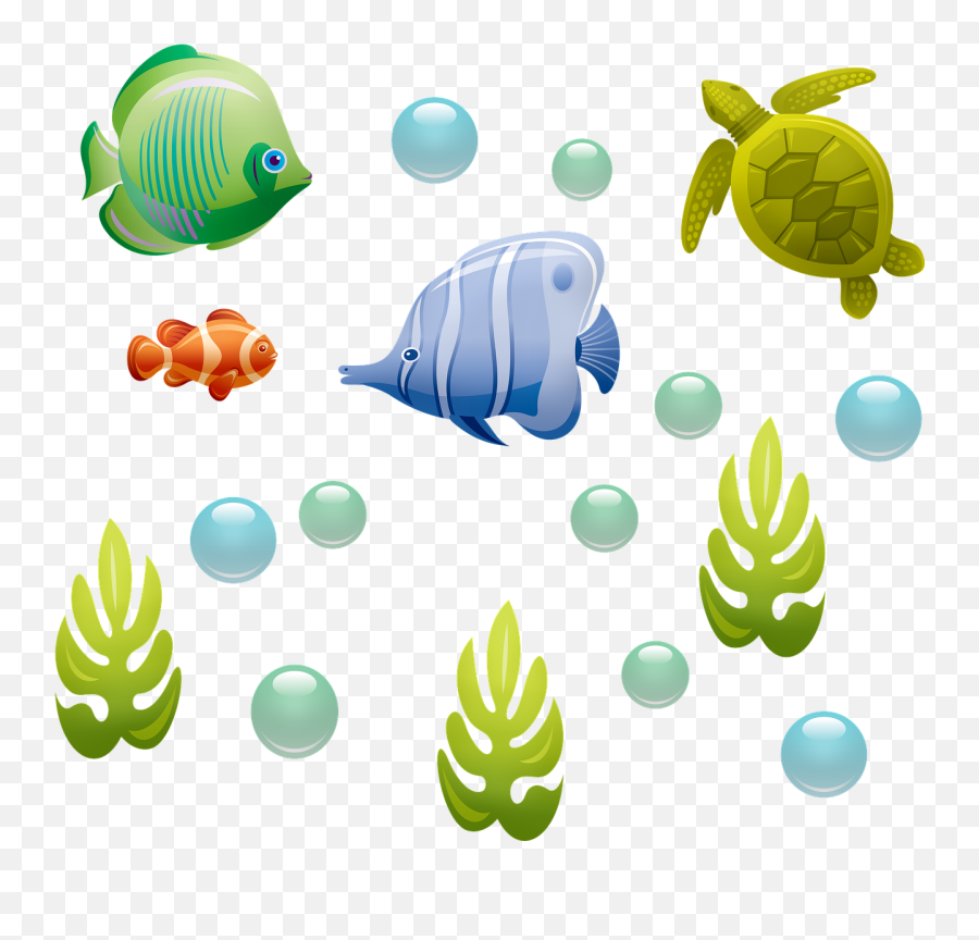Underwater Fish Turtle - Tropical Fish Clip Art Png,Underwater Bubbles Png