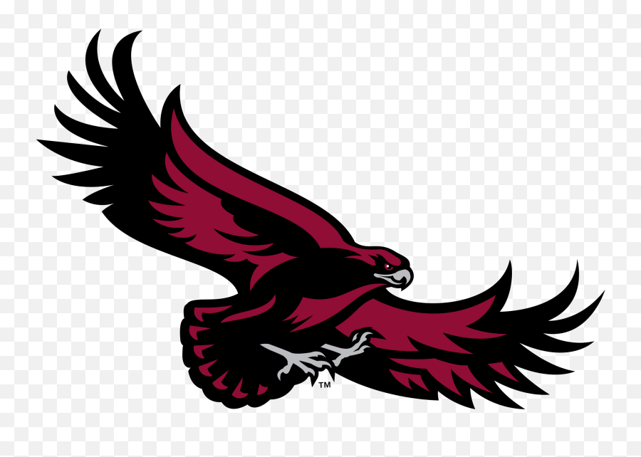 Logo - Saint University Hawk Png,Atlanta Hawks Png
