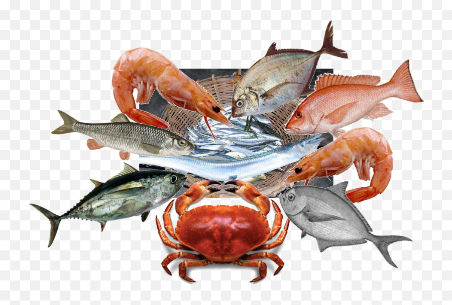 Download Chesapeake Blue Crab Png Image - Seafood,Blue Crab Png