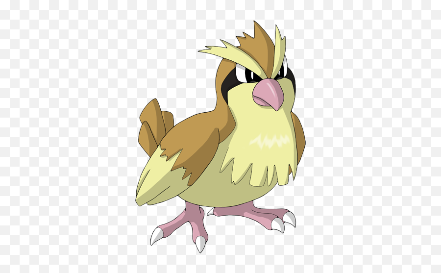 Pidgey Png 5 Image - Pokemon Pidgey,Pidgey Png