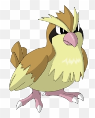 Pidgey Png 5 Image - Pokemon Pidgey,Pidgey Png
