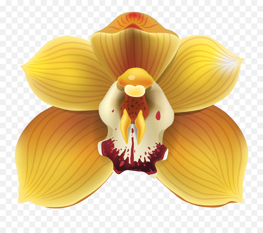 Yellow Orchid Png Clipart - Yellow Orchids Png,Orchid Png