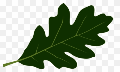 coronet oak leaf crown