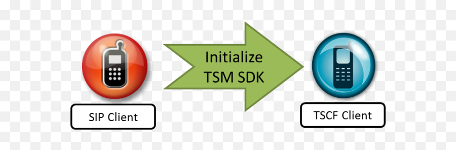 Using The Sdk To Create A Tsm Tunnel - Vertical Png,Tsm Logo Png