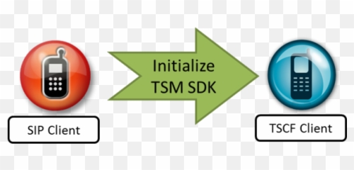 Using The Sdk To Create A Tsm Tunnel - Vertical Png,Tsm Logo Png