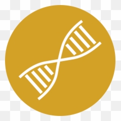 Download Speech Icon Png Image With - Bbc News