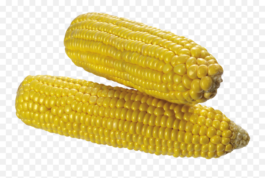 Download Corn Png Image - Corn Transparent Background,Corn Transparent Background
