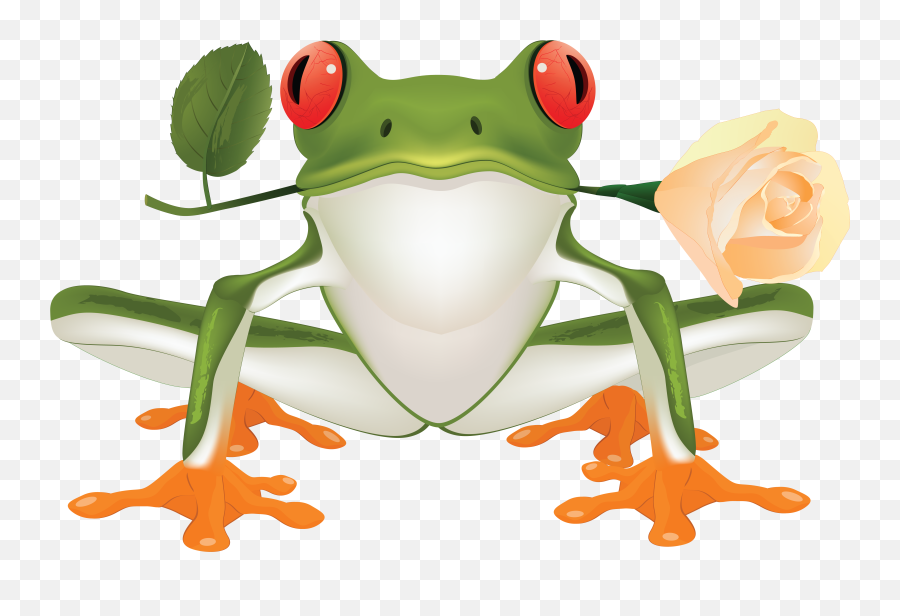 Frog - Tree Frog Clip Art Png,Transparent Frog