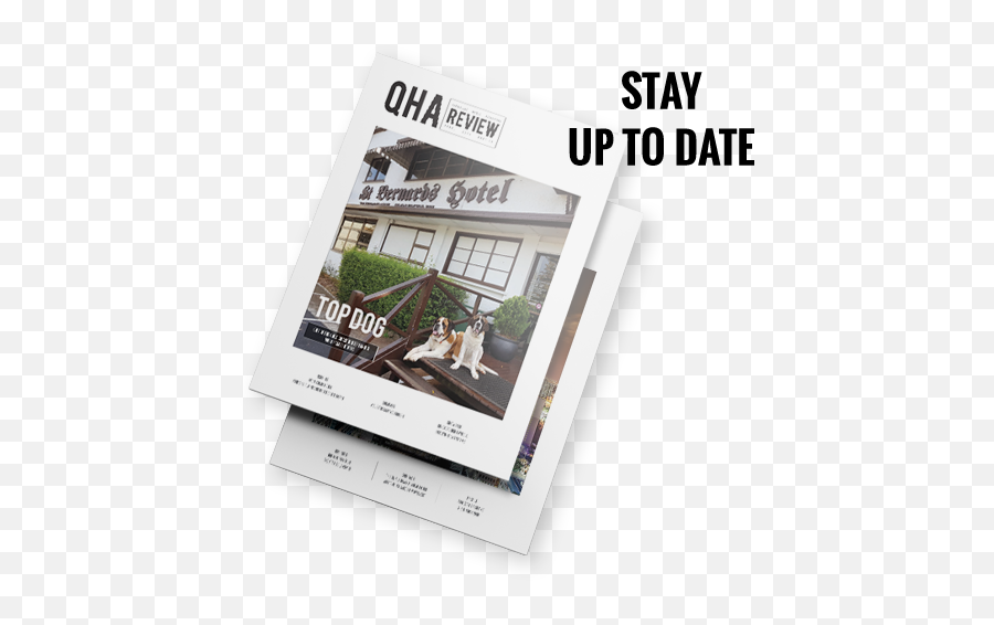 Qha - Magazineicon6 Qha Online Horizontal Png,Icon Magazine