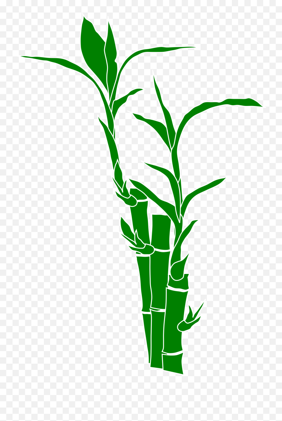 Library Of Bamboo Tree Image Png Files - Bamboo Shoot Health Benefits,Bamboo Leaves Png