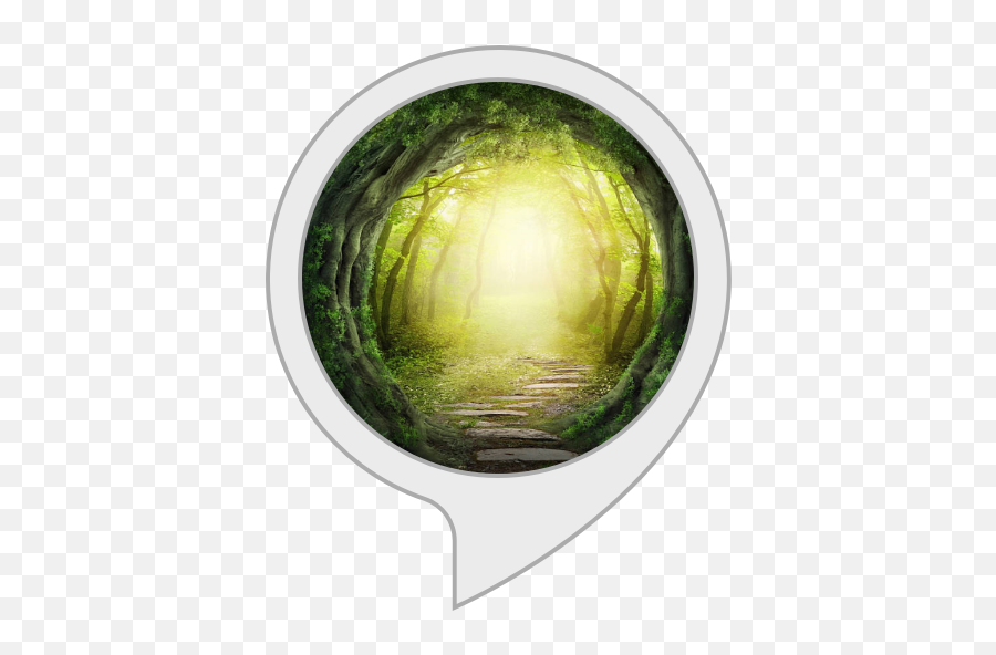 Forest Fantasy Music U0026 Background Amazonin Alexa Skills - Magic Forest Drawing Dark Png,Forest Transparent Background