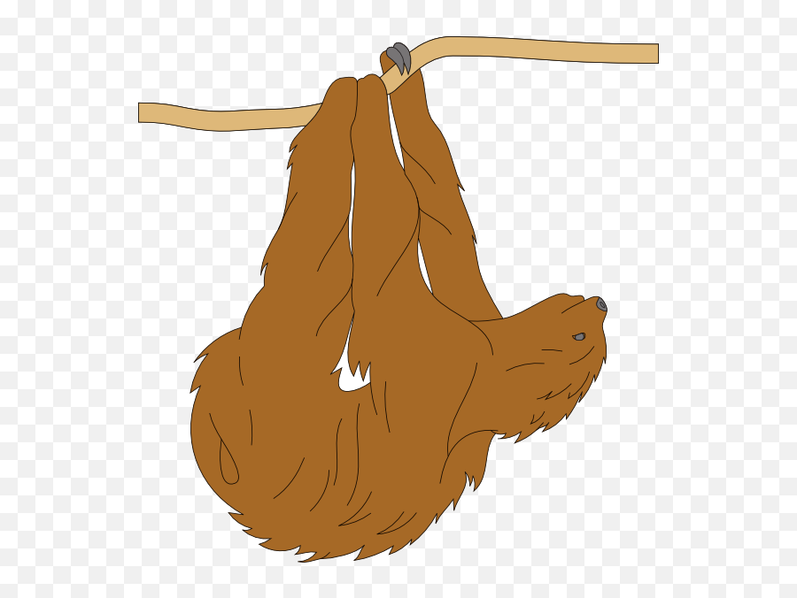 Hanging Sloth Clip Art - Vector Clip Art Online Clip Art Png,Sloth Png