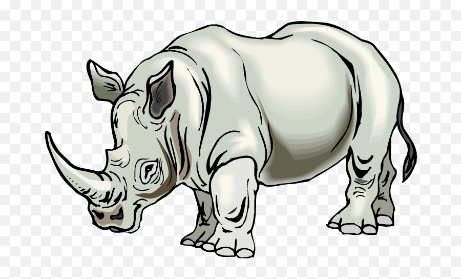 31 Rhino Clipart Rhinoceros Clipartlook - Transparent Background Rhino Clipart Png,Rhino Png