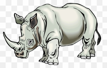 31 Rhino Clipart Rhinoceros Clipartlook - Transparent Background png