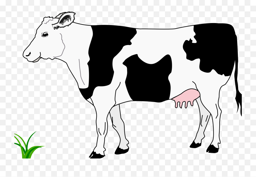 Cow Clipart Black And White Transparent Background Pictures - Simple Cow Drawing Png,Cow Transparent Background