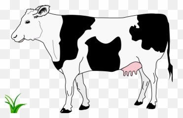 Cow Clipart Black And White Transparent Background Pictures - Simple Drawing png