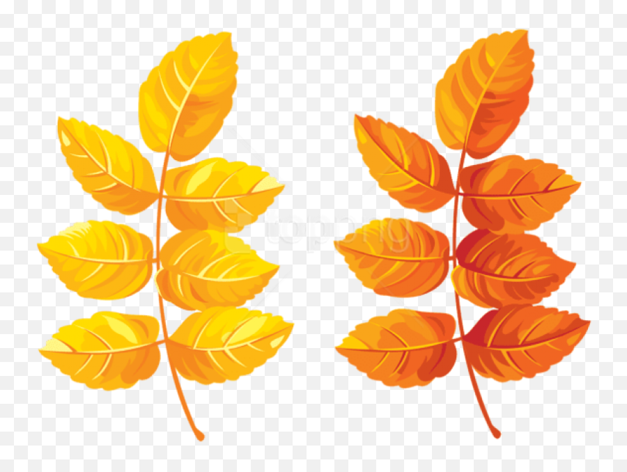 Fall Leaves Clipart Png Photo - Yellow Leaves Clipart Transparent,Leaves Clipart Png