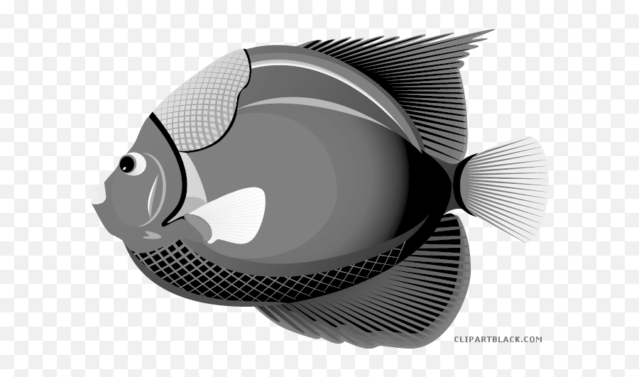 Clip Art Stock Clipartblack Com Animal - Tropical Fish Clip Art Png,Tropical Fish Png