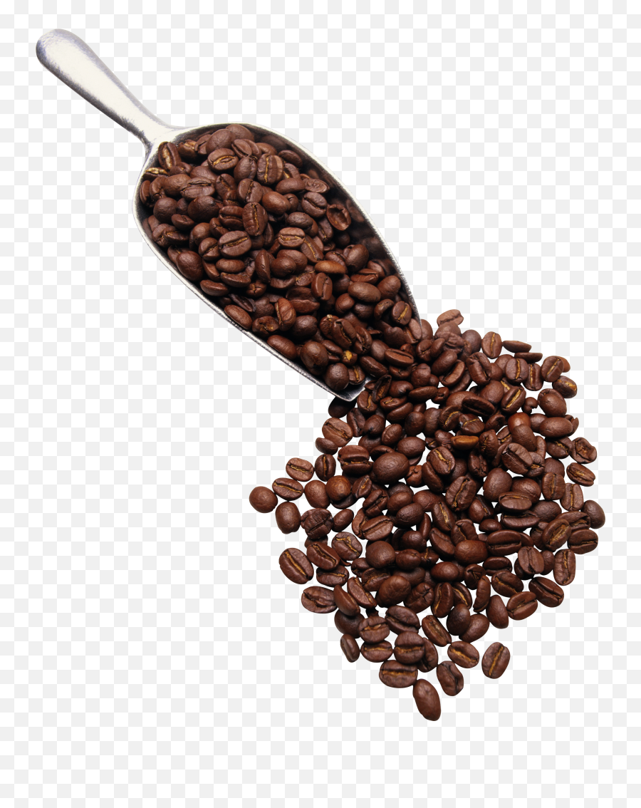 Download Free Png Transparent Coffee Picture Gallery - Scoop Of Coffee Beans,Coffee Png