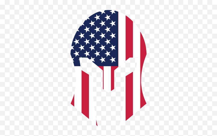 American Flag Helmet Decal - Thin Blue Line Punisher Skull Association Of European Journalists Png,Thin Blue Line Png