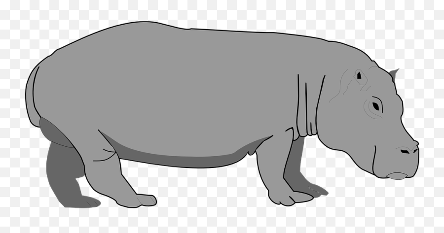 Manatee Clipart - Hippo Clipart Png,Manatee Png
