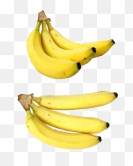 Bananas Png