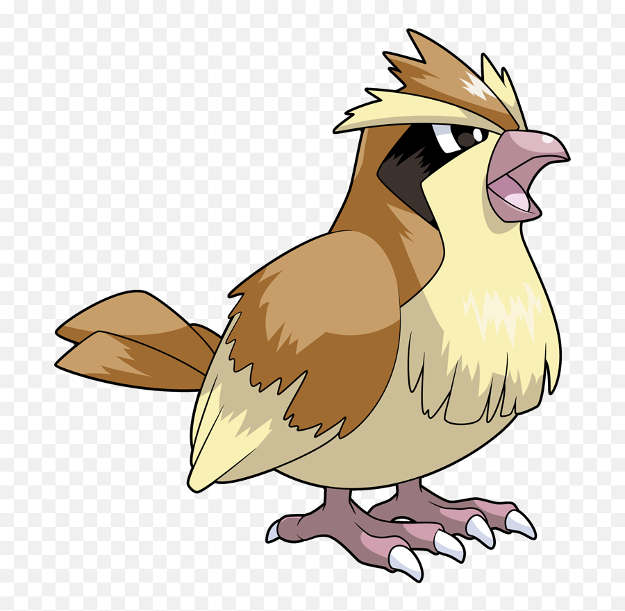 Evolution - Pidgey Pokemon Png,Pidgey Png