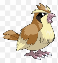 Evolution - Pidgey Pokemon Png,Pidgey Png