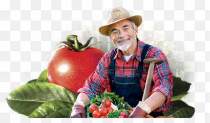 Farmer Png Image - Vegetable Farmer,Farmer Png